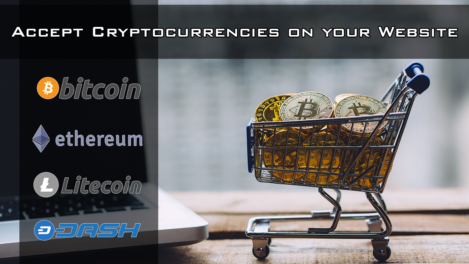 how to except cryptocurrency on your wix site